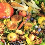 Obst und Gemüse - Freude für Körper UND Geist