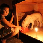 Tierrettung auf den Philippinen ? Ein Neunjähriger hat einen Traum 