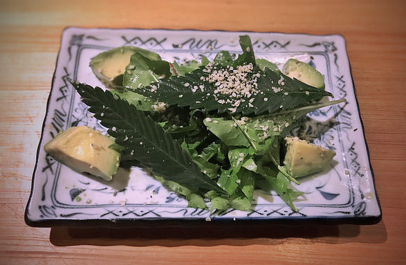 Salat mit Avocado, Hanfblättern und geschälten Hanfsamen. Angerichtet aeinem Teller.