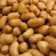 BASF stellt Anbau von Gentechnik-Kartoffeln in Europa ein