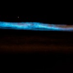 Märchenhaft blaue Lichtblitze - Alge leuchtet im Meer 