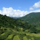 Bhutan wird weltweit erstes vollständig biologisches Land
