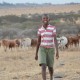 Junge erfindet LED-System zum Schutz von Menschen und Viehbestand