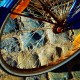 ″Das Leben ist wie ein großes Radrennen″ – Paulo Coelho