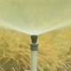 ″Lebenswasser″ könnte GenTech-Saatgut und Pestizide überflüssig machen