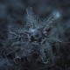 Atemberaubende Schneeflocken-Bilder mit simpler Kamerakonstruktion