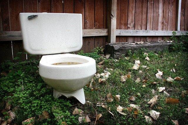 toilette in natur, positive nachrichten