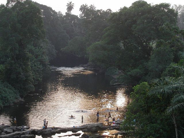 Kamerun, Rainforest Connection, Naturschutz
