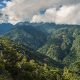 Peru: Das Wunder im Urwald