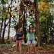 Philippinisches Gesetz: Schulabgänger müssen zehn Bäume pflanzen